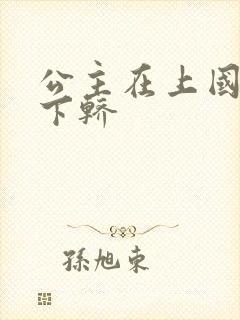 公主在上国师请下轿