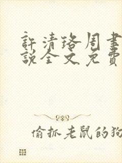 许清珞周聿衡小说全文免费阅读