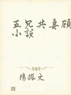五兄共妻顾心儿小说