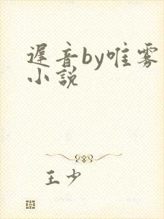 迟音by唯雾的小说