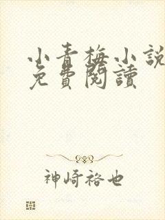 小青梅小说全文免费阅读