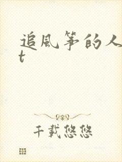 追风筝的人txt