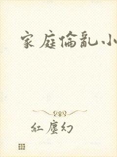 家庭伦乱小说