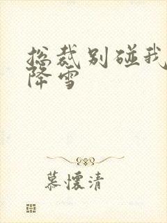 总裁别碰我 韩降雪