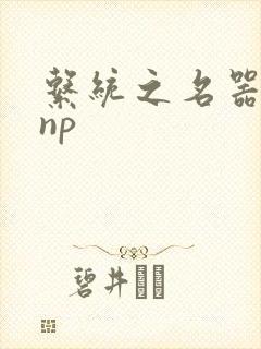 系统之名器攻略np