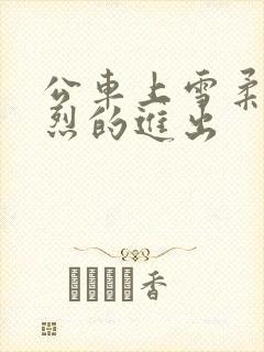 公车上雪柔被猛烈的进出