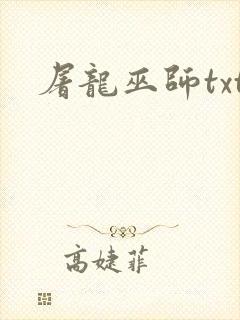 屠龙巫师txt