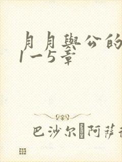 月月与公的激情1一5章