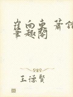 崔向东 萧错 笔趣阁