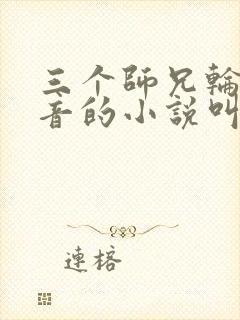 三个师兄轮流上音的小说叫什么