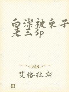 白洁被东子老二老三3p
