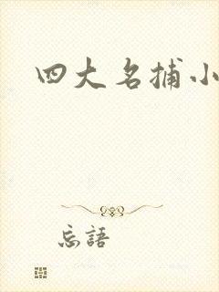 四大名捕小说
