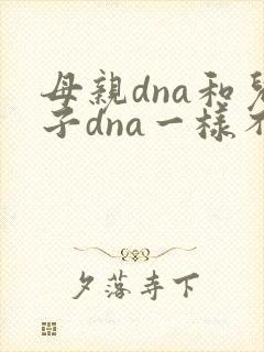 母亲dna和儿子dna一样不