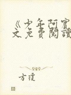 《少年阿宾》全文免费阅读