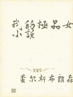 我的极品女老师小说