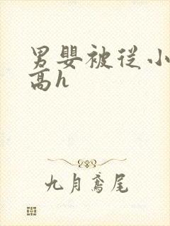 男婴被从小调教高h