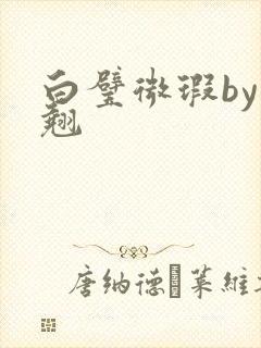 白璧微瑕by连翘