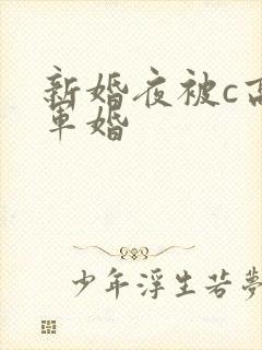 新婚夜被c高h军婚