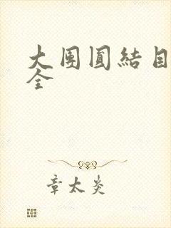 《大团圆结目录大全》小说封面