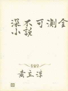 深不可测金银花小说