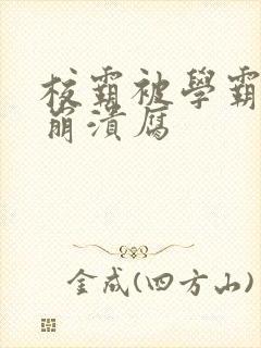 校霸被学霸玩到崩溃腐