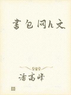 书包网h文