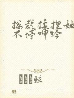 总裁揉捏她两乳不停呻吟