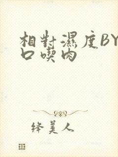 相对湿度BY大口吃肉