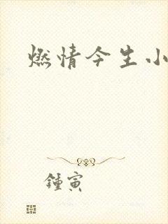 燃情今生小说