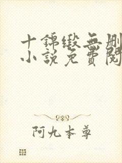 十锦缎无删原著小说免费阅读