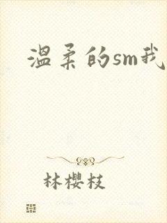 温柔的sm我
