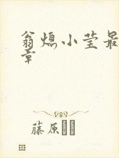 翁熄小莹最新节章