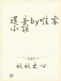 迟音by唯雾的小说