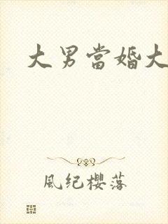 大男当婚大结局