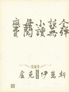恋母小说全文免费阅读无弹窗笔趣阁