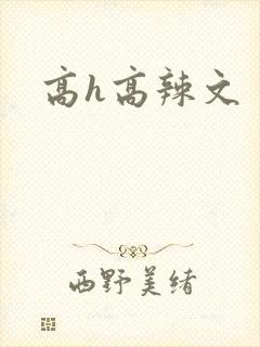 高h高辣文