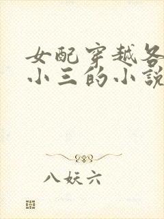 女配穿越各个做小三的小说