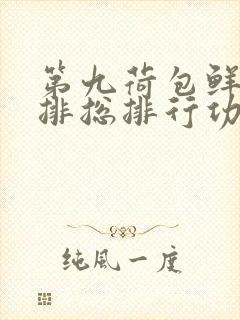 第九荷包鲜辣肉排总排行功能介绍