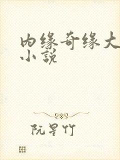 内缘奇缘大团圆小说