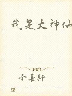 我是大神仙小说