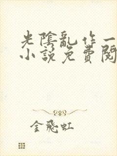 光阴乱作一团的小说免费阅读