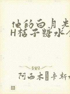 他的白月光HVH桔子糖水全文