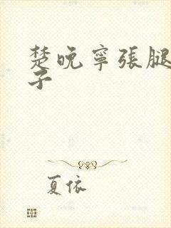 楚晚宁张腿放棋子