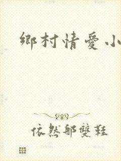 乡村情爱小说