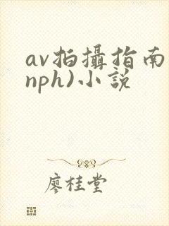 av拍摄指南(nph)小说