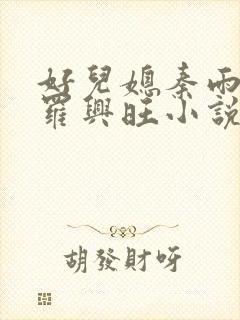 好儿媳秦雨罗明罗兴旺小说