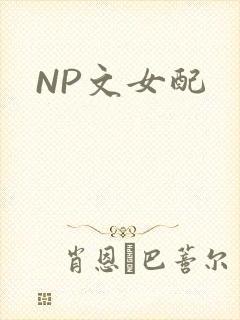 NP文女配