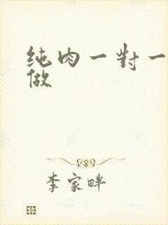 纯肉一对一到处做