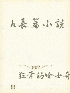 h长篇小说