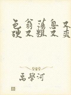 色翁荡息又大又硬又粗又爽小莹封面